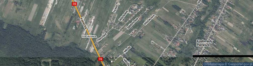 Zdjęcie satelitarne Dworska ul.